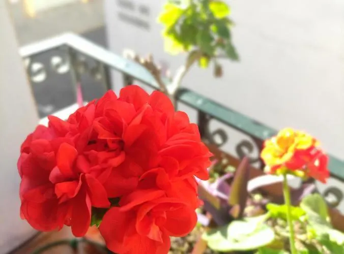 Appartement Vive Triana *