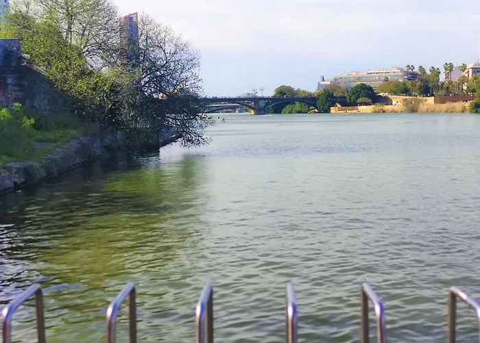 Vive Triana *